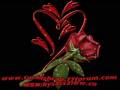 barış akarsu-yalansevdam www.turkishrap.77forum.com bu şarkıyı burda bulabilirsiniz