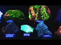 Flourescent Minerals