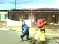 brigas jackass df