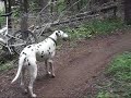 Corral Creek Trail - singletrack is for everyone Corral Creek Trail - singletrack is for everyone