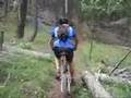 Corral Creek Trail - singletrack is for everyone