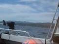 port renfrew fishing music by matt mays