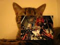 Sorrow and me build a pc....lol