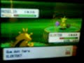 Roselia shiny avec le pok�radar! ^^