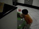 auxiliado pelo andador