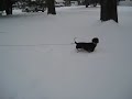 12-19-09, 3p Video1.avi