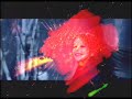 Dream Music Video , feel it magic Dream Music Video , feel it magic