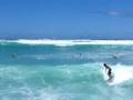 videos de hawaii 2k8