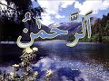 Maulana Tariq Jameel-Bayan in BARELVI brothers3