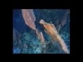 videos de meine Malediven-highlights