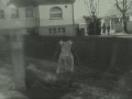 videos de Orbiculi