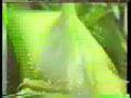 nhp-gunge-tank-monta