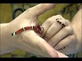 How to Choose a Pet Snake : Choosing a Pet Snake: Temperament