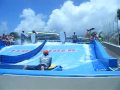 Margaritaville Cafe Flow-Rider 2010 Carnival Liberty