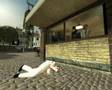 Random-Head-Fuck-the