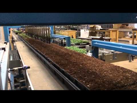 I Can’t Take My Eyes Off Of This Cool Planter Robot
