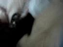 i attacka you! i attacka you!