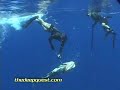 spearfishin Pipin Bottom Hunting