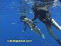 spearfishin Pipin Bottom Hunting