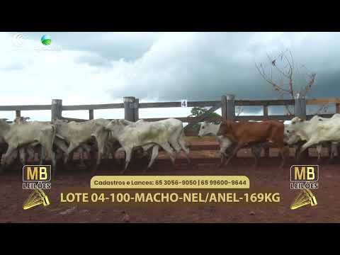 540� LEIL�O VIRTUAL MB LEIL�ES