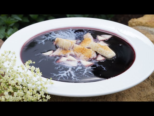 Feine Holundersuppe mit Apfelringen, Zwieback und Milch  | Rezeptempfehlung Topfgucker-TV