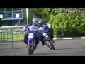 Polini Pitbikes