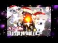BUON NATALE ANCHE A LORO