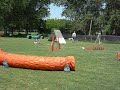 Kacey Abierta 08-11-09 Agility G2 -Perro Blanco-