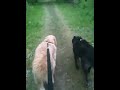 video1.mov Video video1.mov Video