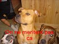 am staff;) am staff;)
