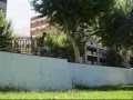 Neko`s Parkour...