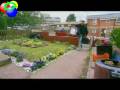 Hanuted Homes E1 2/4