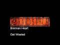 |Hardstyle| Brennan Heart - Get Wasted
