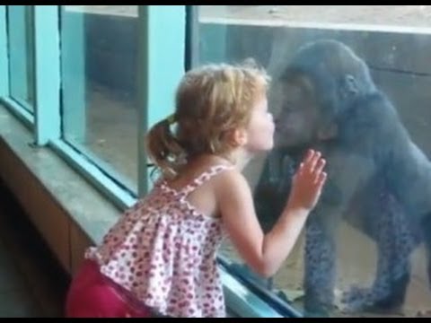 Haciendo amigos en el zoo