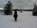 Horseback Riding Horseback Riding