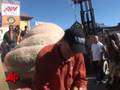 1, 528 Lb Pumpkin Takes Top Prize at Calif. Fest