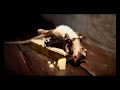 El raton y el queso