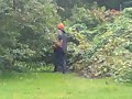 Grandma disappears into a bush. Grandma disappears into a bush.