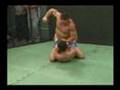 MMA Bare Knuckle Valetudo
