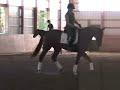 A.3  STEFFEN PETERS AND JANET BROWN-FOY (TRAINING & FIRST)