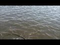 Redfish X