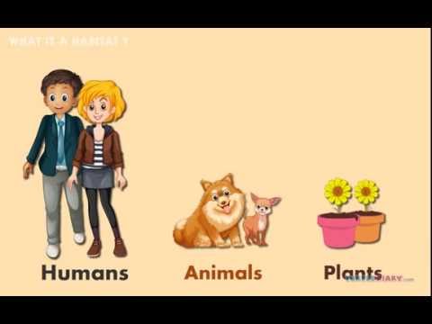 6 Habitats Where Animals & Plants Live! *AMAZING* Science for Kids