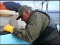 As part of our efforts to bring a piece of our world to you, we have created a series of interviews with local fishermen who can help give some insight into life as a commercial fisherman in Bristol Bay.  Victor Popa is originally from Romania and moved to the United States in the early 70s.  It was at that time that he had the opportunity to come to Alaska one summer to fish.Since then, he has come back to the same place every summer for nearly 35 years.  Victor is one of the fishermen that we purchase fish from.  In these two videos, he is explaining about his life while unloading fish for us.  Enjoy!