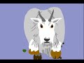 The Marmot Song