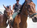 Two year old Surprise is being ponied off his TB mom, Jamaica. He did pretty good considering it was his first time. Jamaica is being ridden by my good friend Noel.