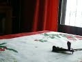 Toro Salvaja: preparaci�n