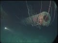 Diving Bikini Atoll 2001 Part One
