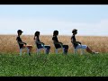 See video