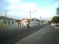 videos de Gogo chamando na praça do castelo