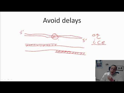 how to troubleshoot pcr